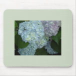 Blooming Hydrangeas mousepad