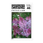 Blooming Lilac Postage Stamp