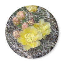 Blooming magnets