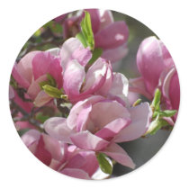 Blooming Magnolia Round Stickers