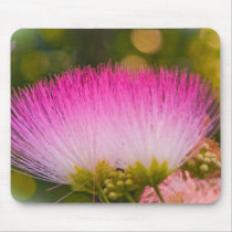 Blooming Mimosa mousepads