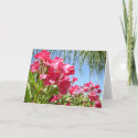 Blooming Oleander Greeting Card card
