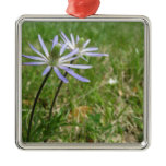 Blooming ornament
