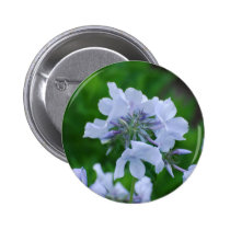 Blooming Phlox Flowers Pinback Buttons