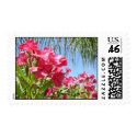 Blooming Pink Oleanders Postage postage by FLOWGEEZ Blooming Pink Oleanders Postage postage