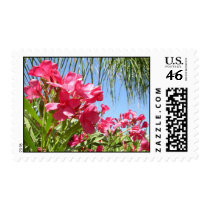 Blooming Pink Oleanders Postage postage