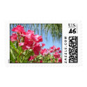 Blooming Pink Oleanders Postage stamp