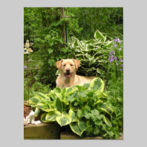 Blooming Puppies (The Poster) posters