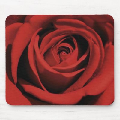 Blooming Red Rose Mousepad by cinemerald