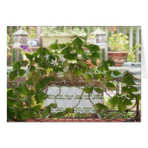 Blooming Shamrocks Cards