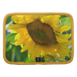 Blooming Sunflower Wallet  Organizer