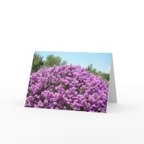 Blooming Texas Sage Greeting Card