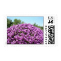 Blooming Texas Sage Postage stamp