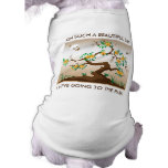 Blooming Tree with Hummingbirds Pet Clothing