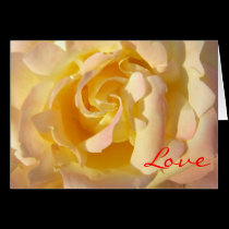 Blooming Yellow Rose Flower Card