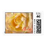 Blooming Yellow Rose Flower Postage