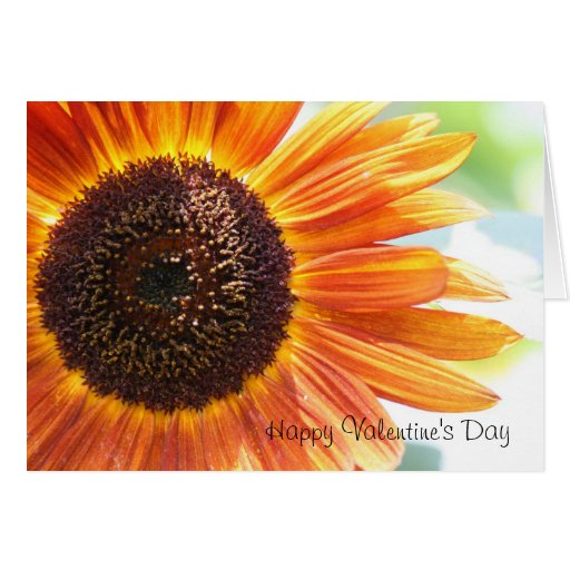 Blooming Yellow Sunflower, Happy Valentine's Day Card Zazzle