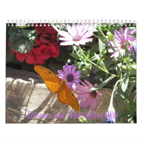 Blooms and Butterflies 2011 Calendar calendar