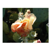 Blooms for You Postcard