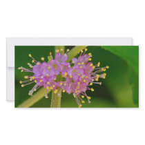 Blooms Customized Photo Card