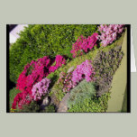 Bloomy Gardens 3