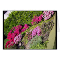 Bloomy Gardens 3 cards by janMarco Bloomy Gardens 3 cards