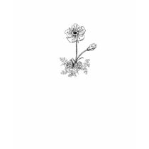 Blossom Bliss Sheer Tee t-shirts