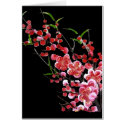Blossom cards by myhome71 Blossom cards