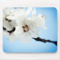 Blossom Clouds Mousepad