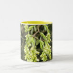 Blossom Coffee Mug