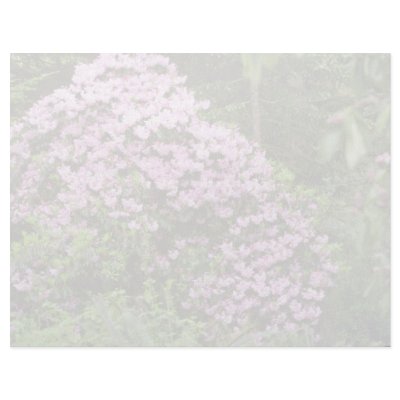 Blossom-covered Pink Shrub flowers Customized Letterhead by blueyellowtube