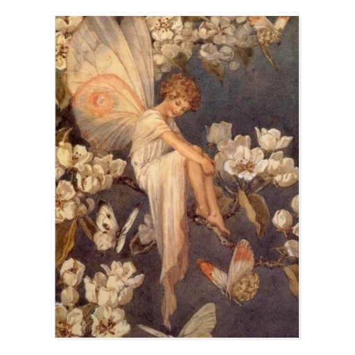 Blossom Fairy - Postcard