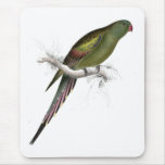 Blossom-Feathered Parrakeet by Edward Lear Mousemat