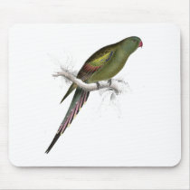 Blossom-Feathered Parrakeet by Edward Lear Mousemat