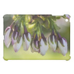 Blossom Flower Buds iPad Mini Case