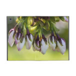 Blossom Flower Buds iPad Mini Cases