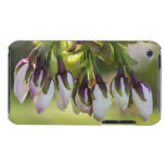 Blossom Flower Buds iPod Case-Mate Case