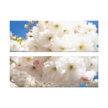 Blossom Flowers Canvas Panel prints Custom Stretched Canvas Print