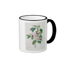 Blossom, from 'Les Choix des Plus Belles Mug