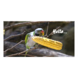 Blossom Headed Parakeet Photo Card