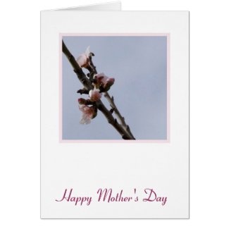Blossom Mother's Day Card card