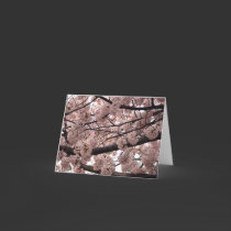 Blossom Notecards