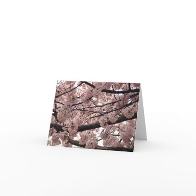 Blossom Notecards by Llywellyn
