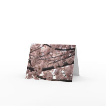 Blossom Notecards by Llywellyn Blossom Notecards
