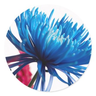 Blossom Of Blue: Envelope Seals sticker