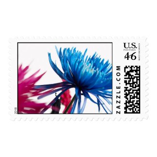 Blossom Of Blue: US Postage Stamps stamp