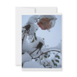 Blossom of Snow Personalized Invite