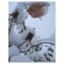 Blossom of Snow letterhead by thedustyphoenix Blossom of Snow letterhead