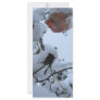 Blossom of Snow Rack Cards