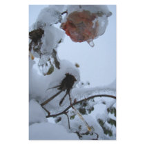Blossom of Snow stationery